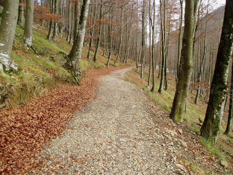 Lizarrusti eta Lareo arteko bidea