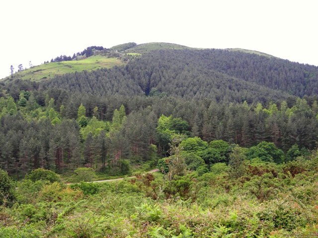 Manddale , Mokuatik ikusita