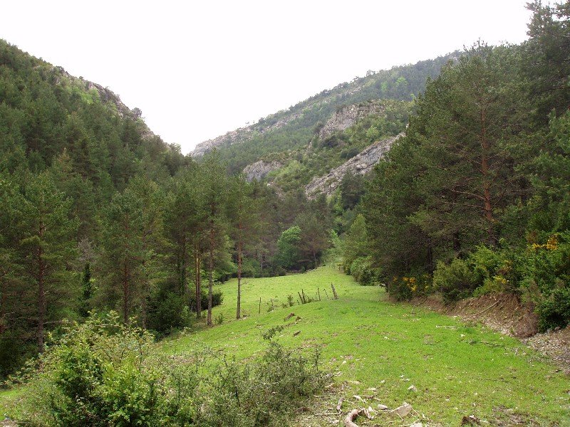 Toboko sakana, Itzalletik hurbil