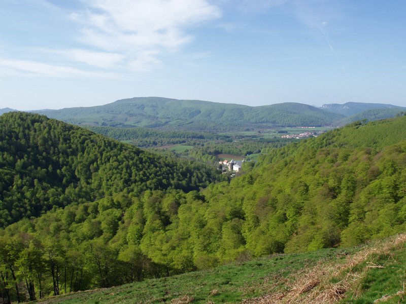 Orreaga Ortzantzurietako bidetik