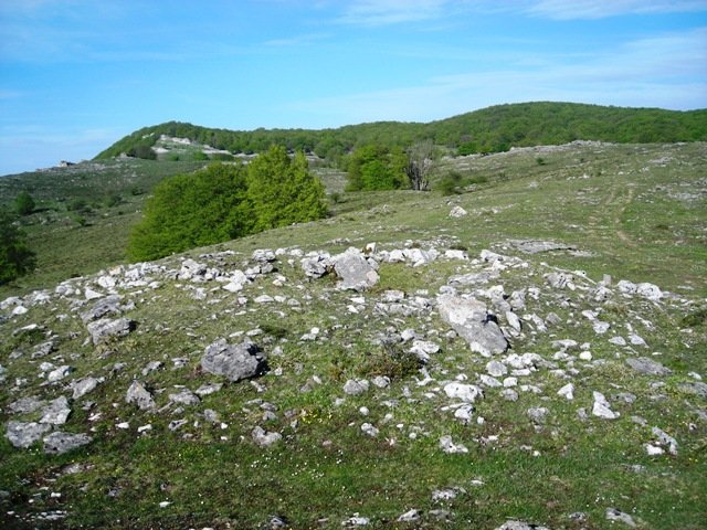 Santa Marinako trikuharria