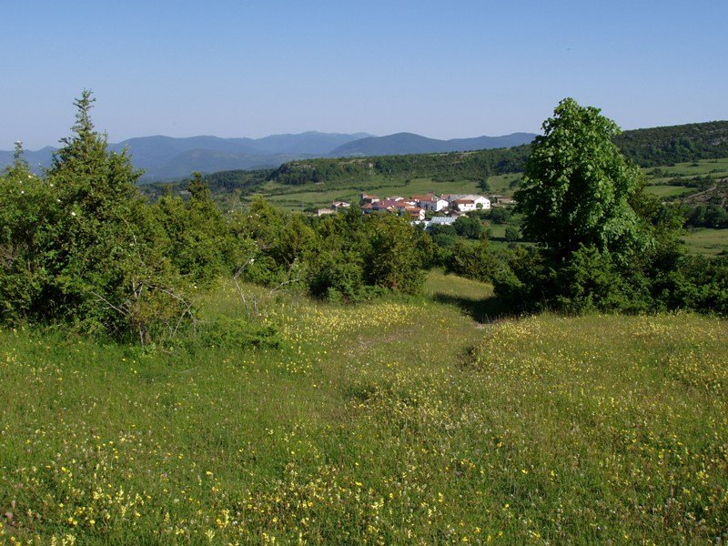 Aintzioa Mendibilko zelaietatik