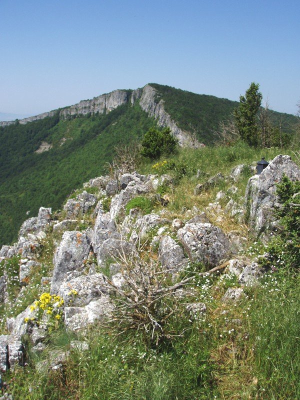 Gailurretik, Larrogain