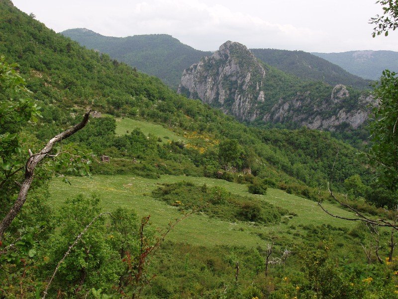 Potxe haitza Baigurako bidetik