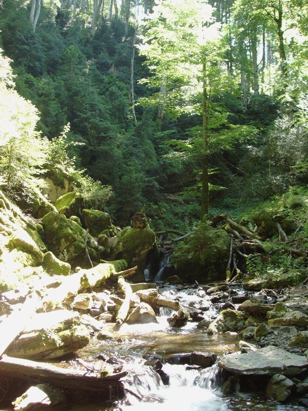 Odiako sakaneko txokoak