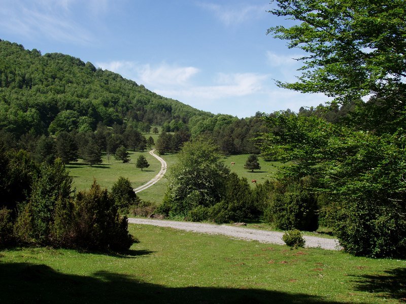 Aretako mendatearen inguruak