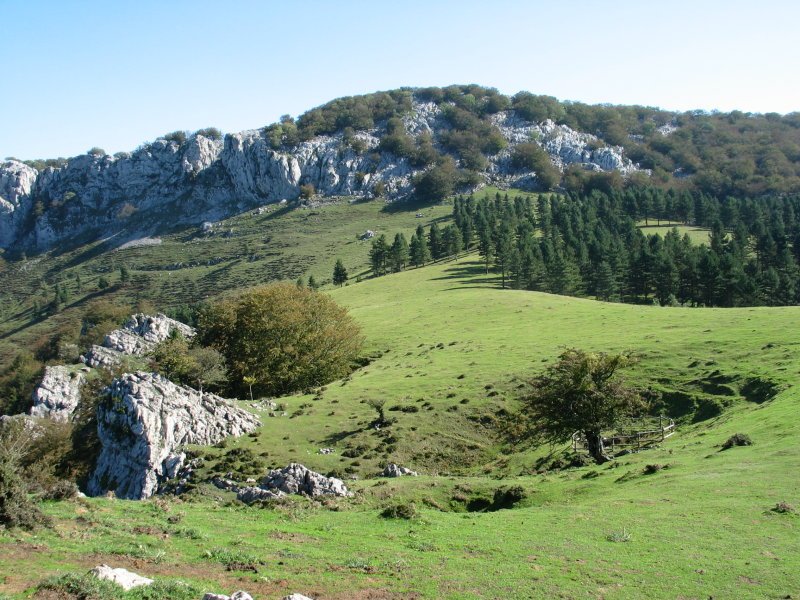 Ezkumin aldetik ikusita