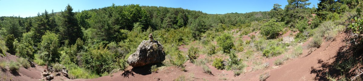 Paisaia bitxia, basoaren erdian