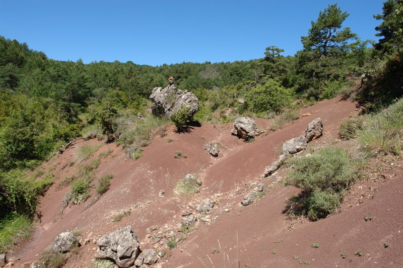 Urratu gorriak basoaren erdian