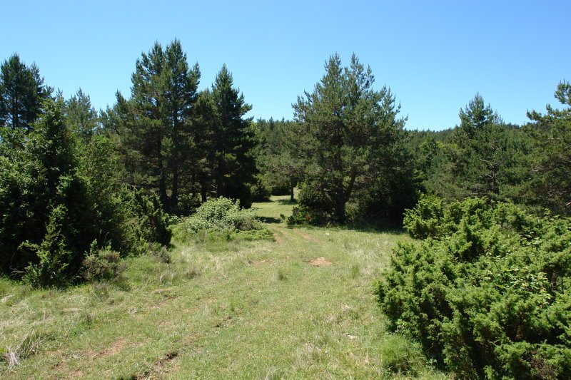 Gainaldeko bidea, tontorretik gertu