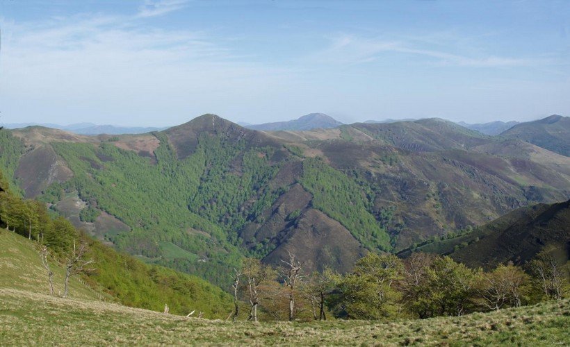 Laurinaga Orreaga aldetik