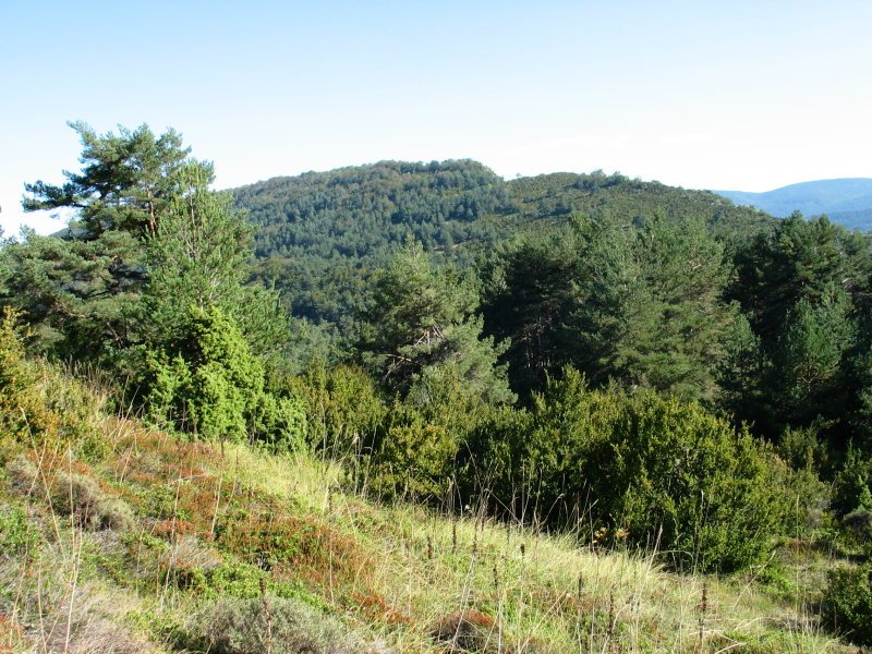 San Quirico aldetik ikusita