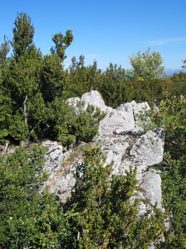 Tontorra, ezpel artean izkutatuta