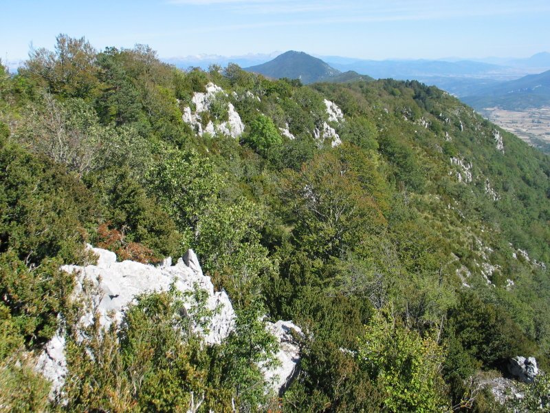 Ekialdeko gandorraren ikuspegia