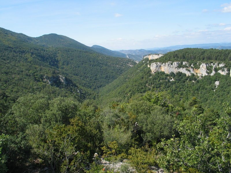 Benasako arroilaren beheko aldea