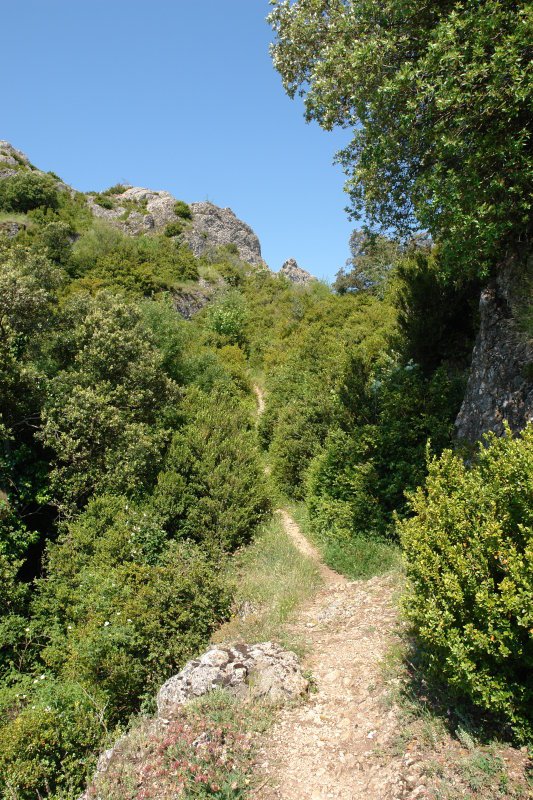 Bideko pasartea, gandorra hegoaldetik inguratzen.