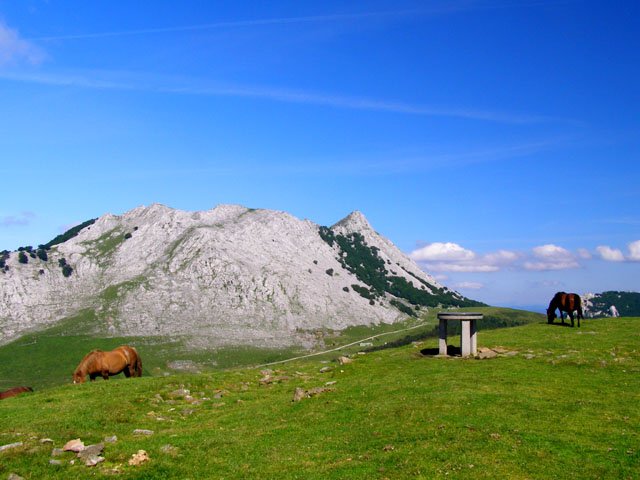 Norabideko mahaia gailurrean