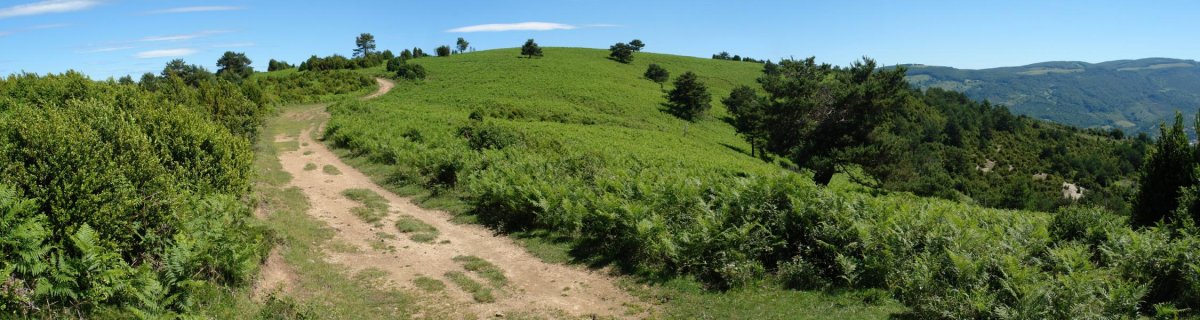 Ligarrieta gaina, Hegoaldetik