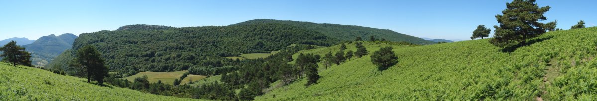 Aintzioa Ligarrietako Hegoaldeko hegitik