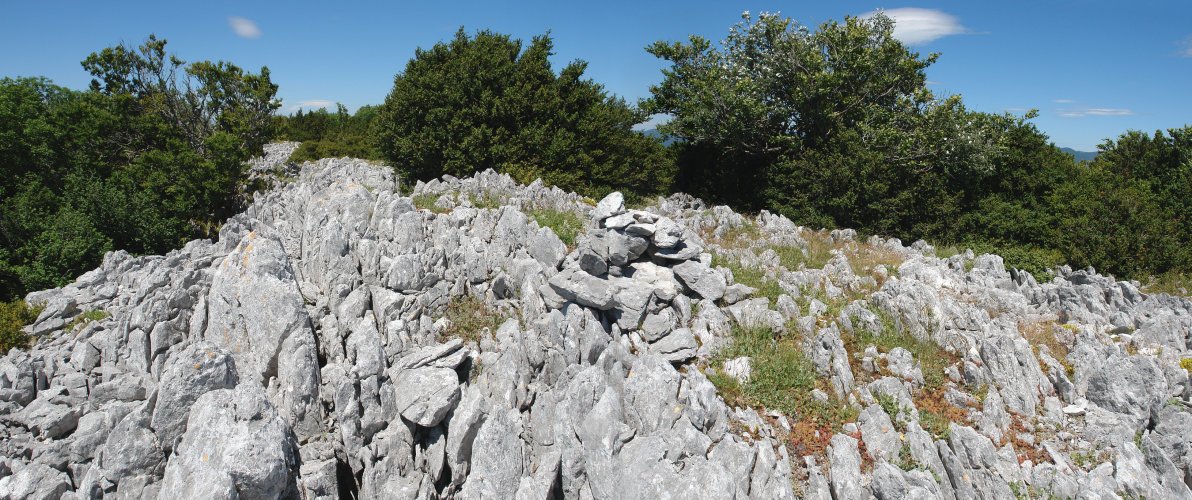 Harripila tontorrean