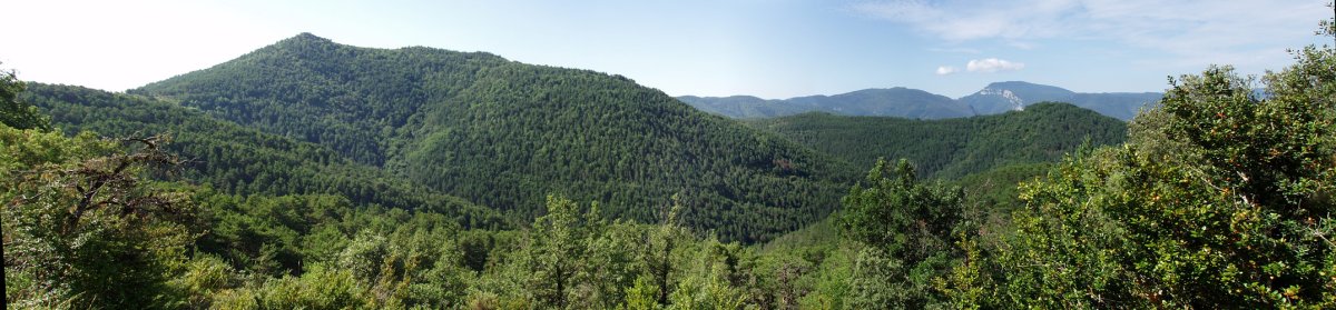 Txitxirimuria iparretik