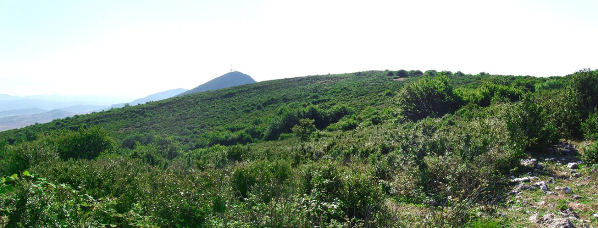 Gainaldea eta Elomendi