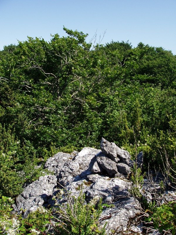 Irumugako gailurra (1132m)