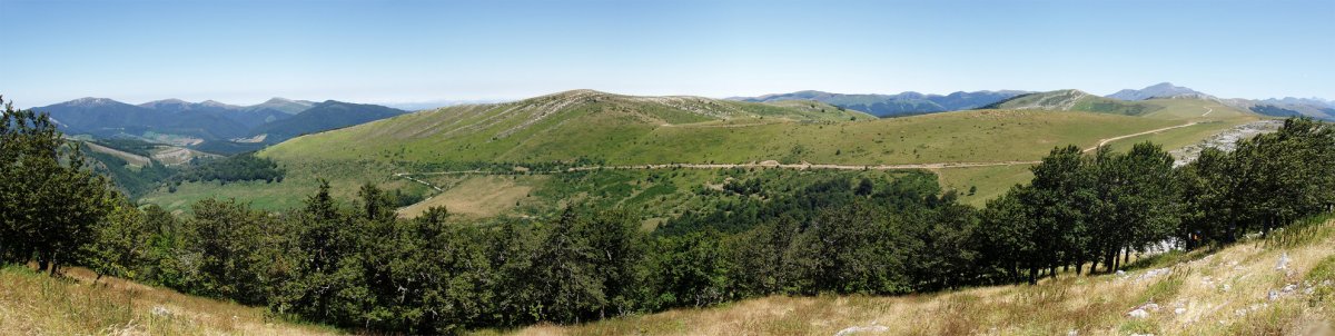 Auztarri Berrenditik