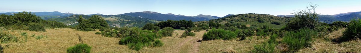 Panorama Zelane lepotik. Lehen planoan, Ugaibel