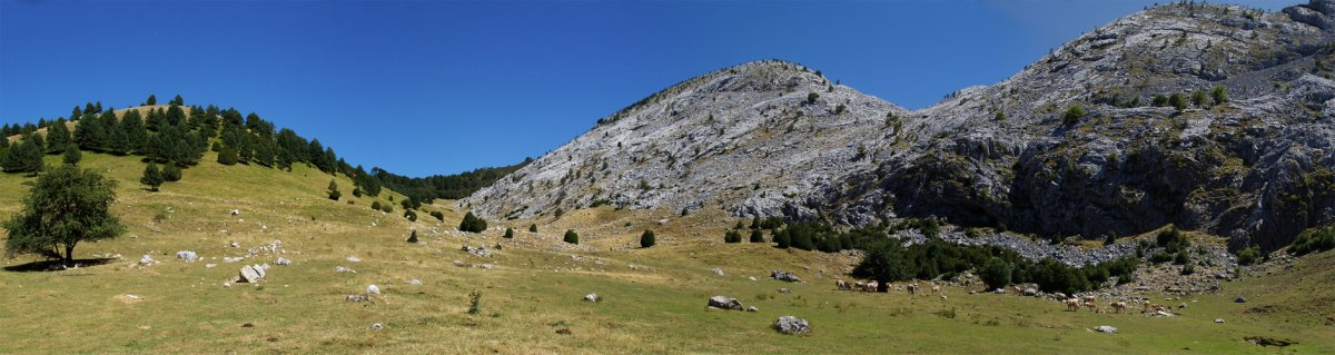 Ezkaiturriko belardietatik, Ezkaurre eta Baines