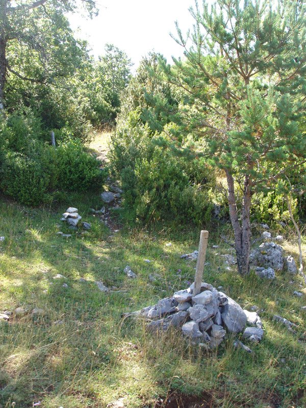 Ollateko mendatetik hurbil, Borregileko bidearen hasiera