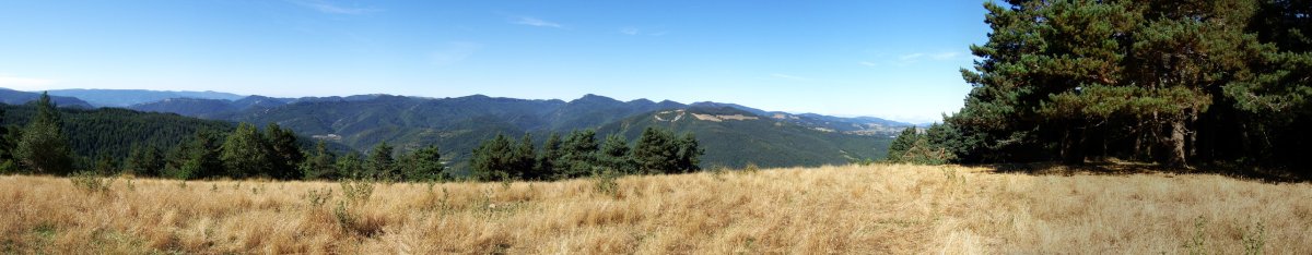 Ilarregiko gailur apala eta Zaraitzuko paisaia