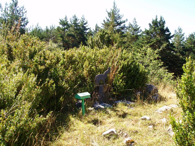 Monterriako gailurra