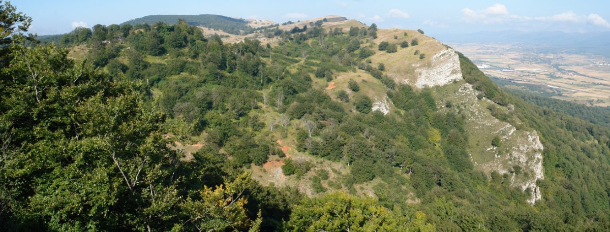 Bellekutik Legaire aldera begira