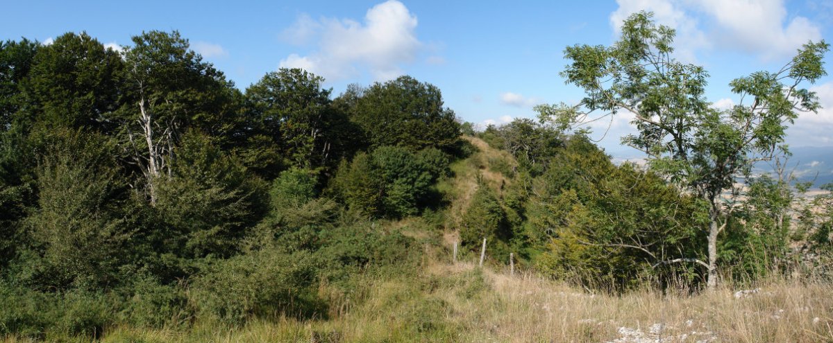 Belleku eta Bigate arteko pasarte bat