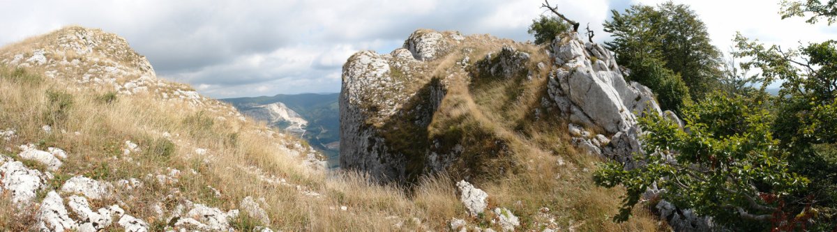 Bigate eta Legunbe arteko gandorreko pasarte bat