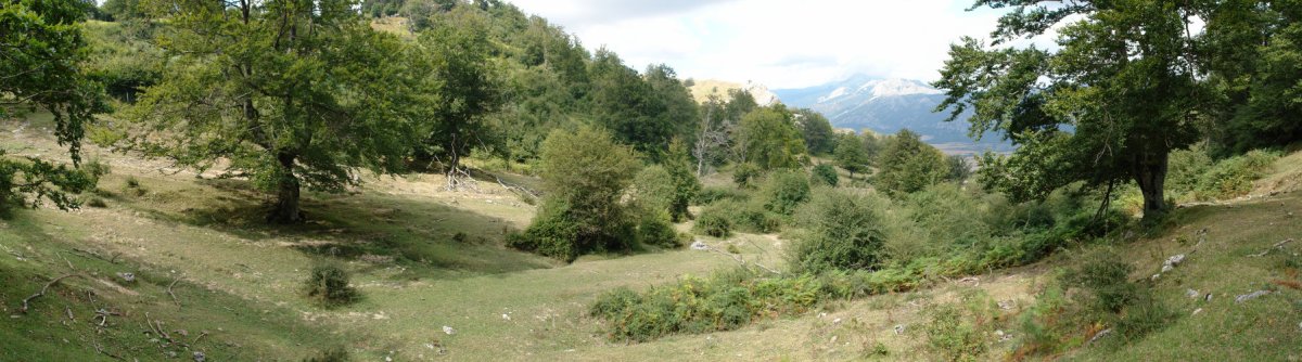 Andoin mendateko igoera.