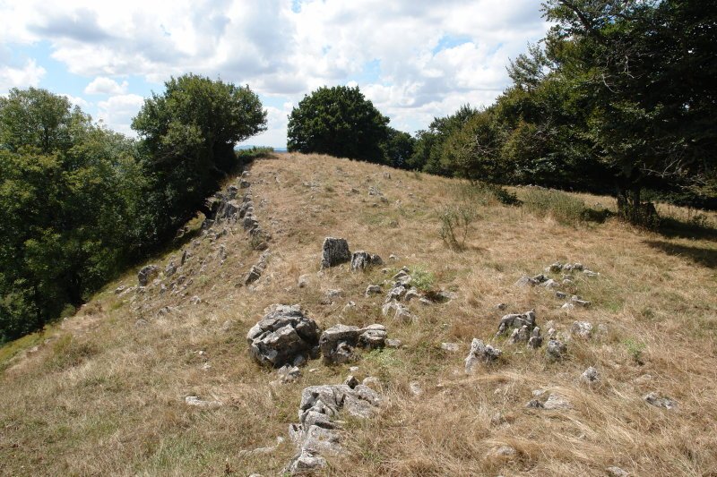 Mendigaina tontorra Iparraldetik