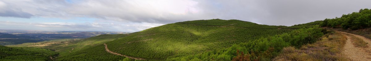 San Pedro Kasedako mendateko bidetik