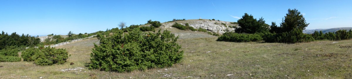 Tontorra Hegoaldeko bizkarretik