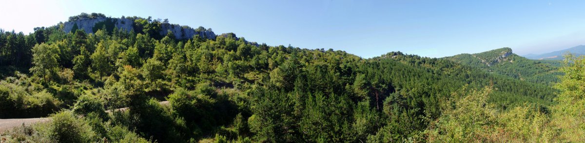 Salbatoreko gandorrak eta Artxuba