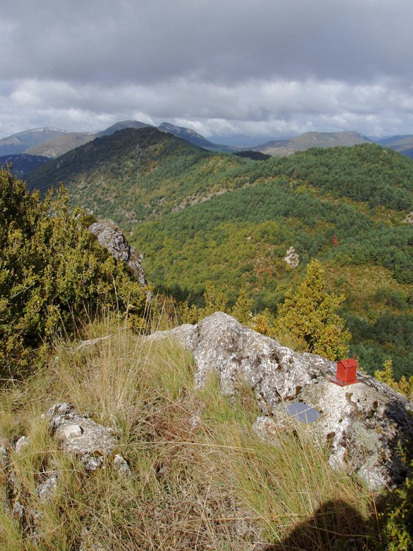 Larrekiko txartelontzia. Atzean, Baxa