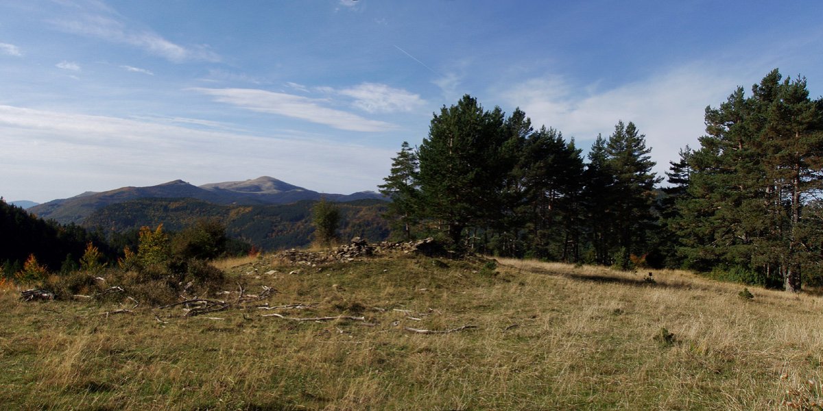 Borda baten hondakinak bidean