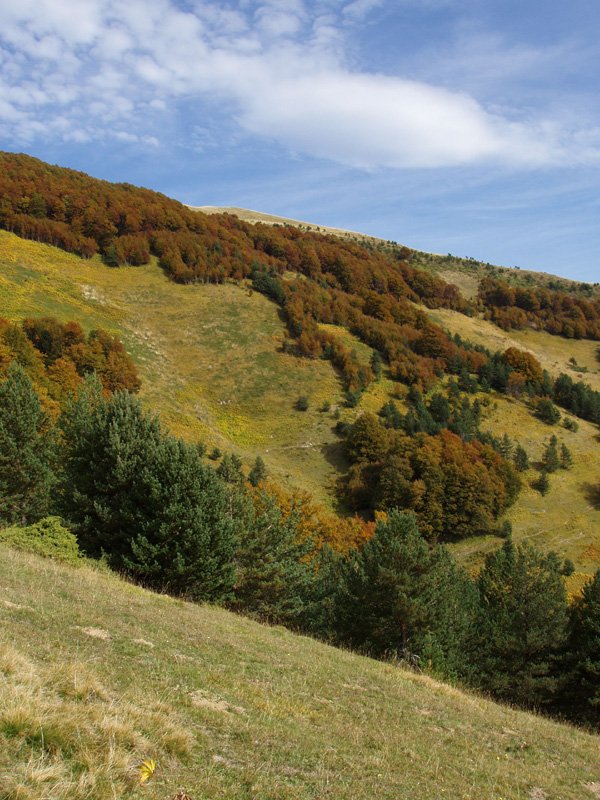 Larrondoko gailurra azken maldetatik