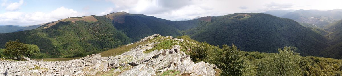 Xuriain eta Erregerena Egidetik