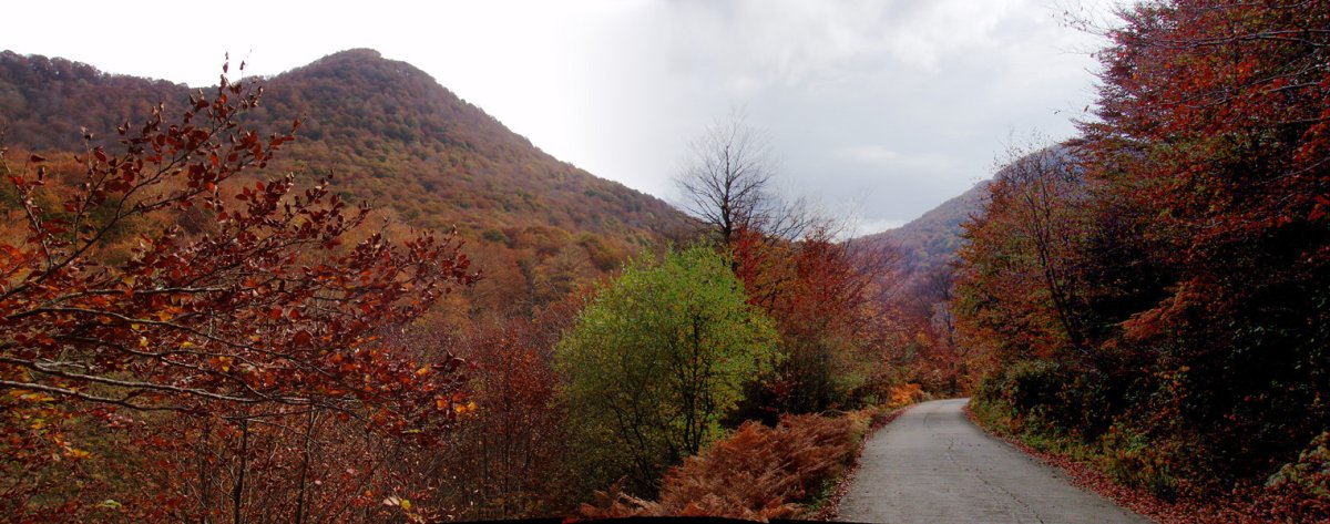 Mozoloandi Oriondik jaisten den pistatik