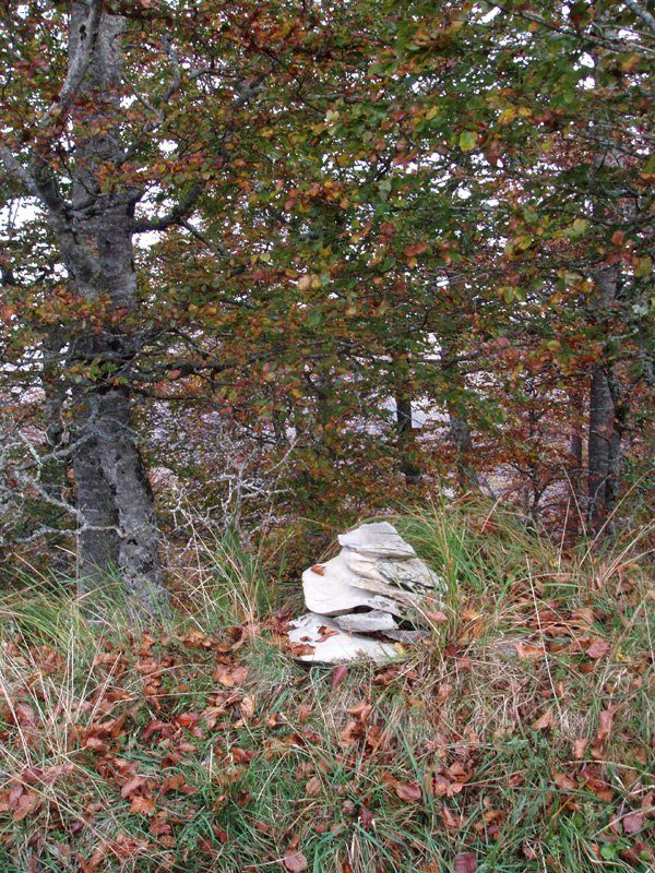 Mozoloandiko gailurra