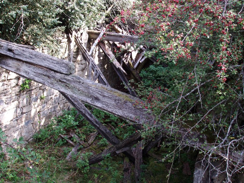 Santa Agedako baselizaren hondakinak