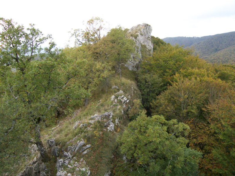 Ekialdeko gandorreko pasartea