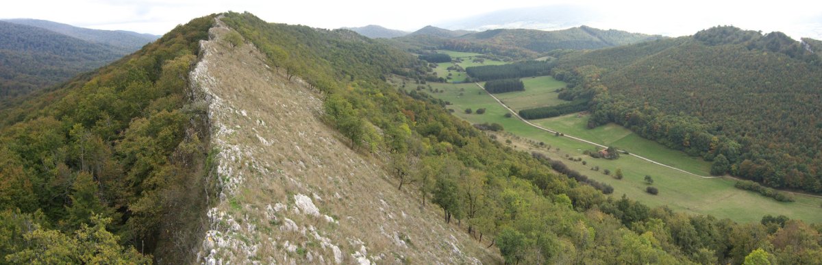 Mendebaldetik ikusita. Sarabe bailara ederra eskubi aldean.